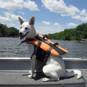 Meet your Posher, Tina